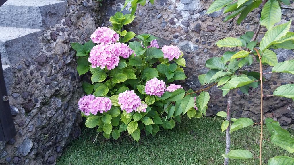 Bed and Breakfast Etma SantʼAlfio Esterno foto