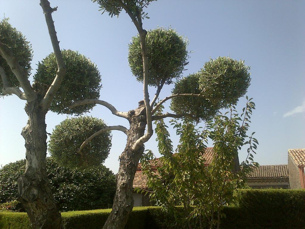 Bed and Breakfast Etma SantʼAlfio Esterno foto