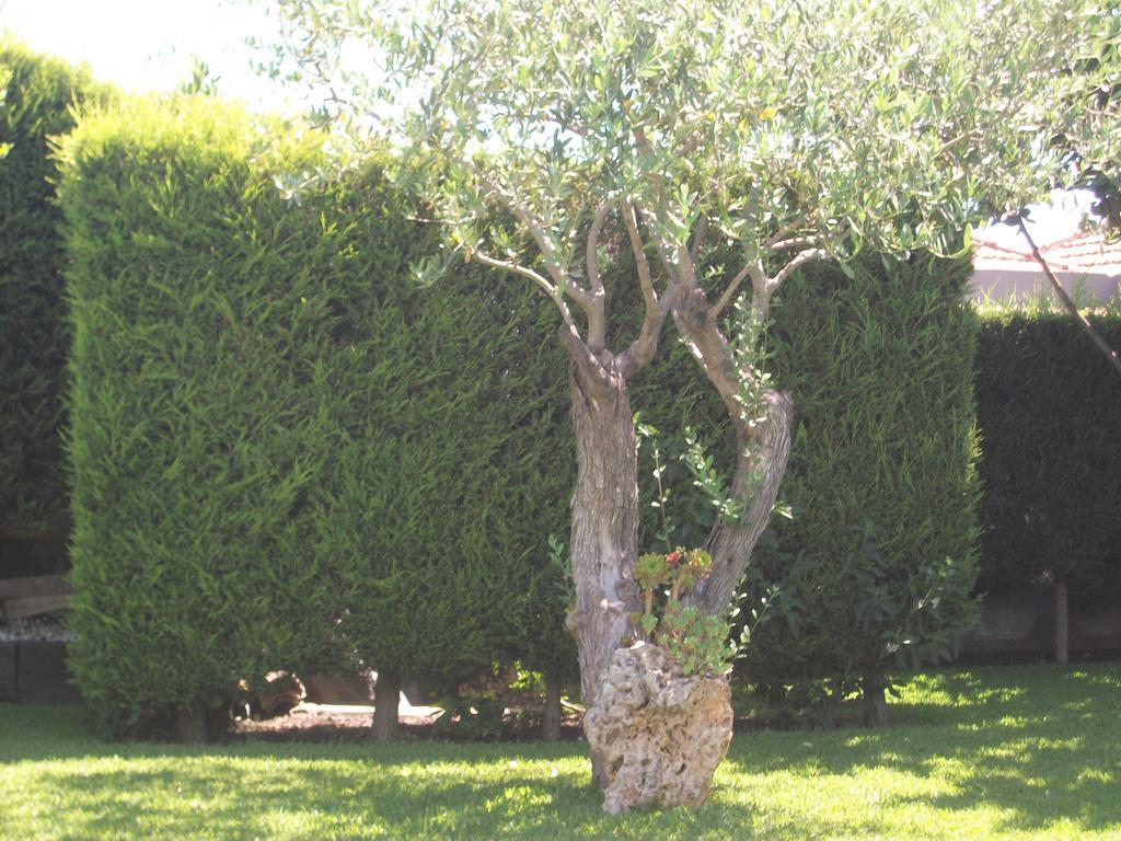 Bed and Breakfast Etma SantʼAlfio Esterno foto